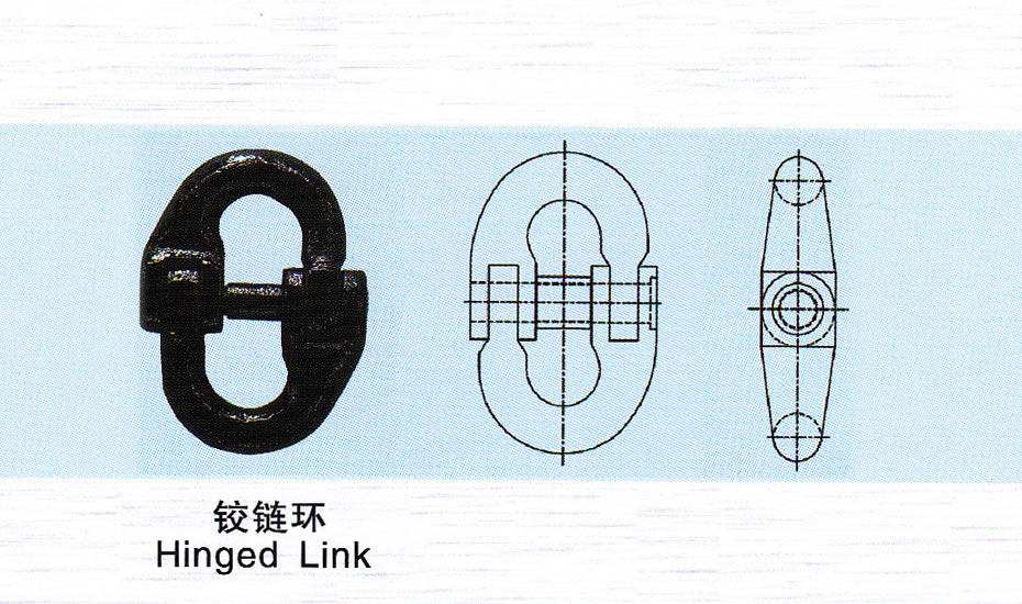Hinged Link